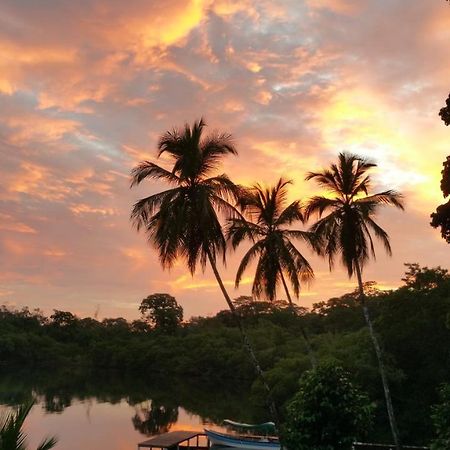 Panama Eco Resort Tierra Oscura Eksteriør bilde