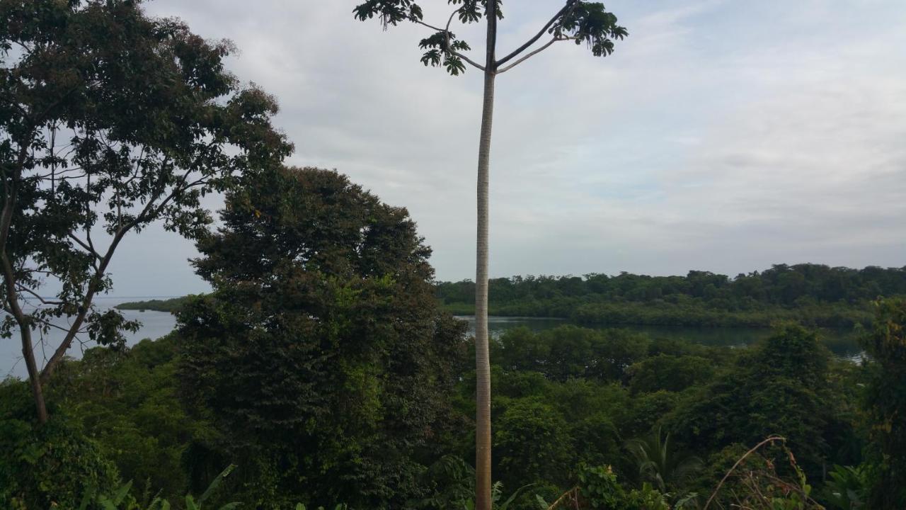 Panama Eco Resort Tierra Oscura Eksteriør bilde