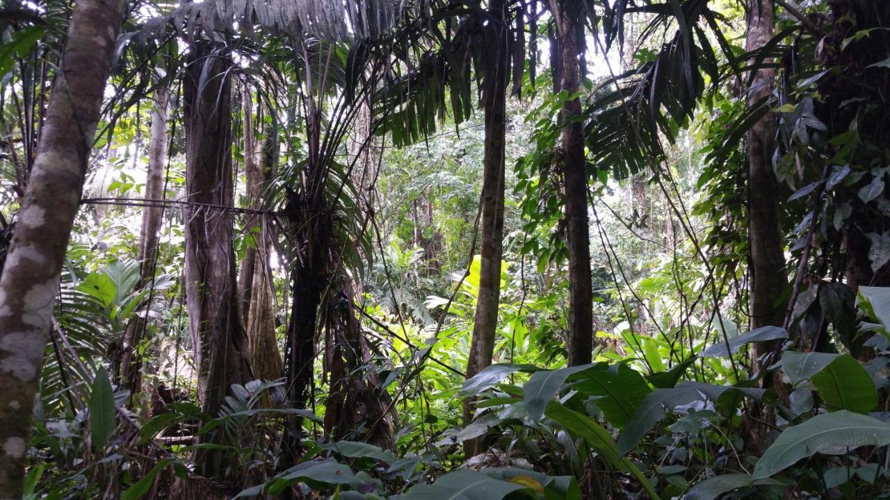 Panama Eco Resort Tierra Oscura Eksteriør bilde
